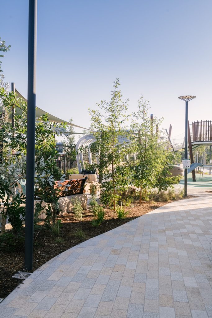 _KDP2330 The Canopy Lane Cove 2020 svg+xml;charset=utf